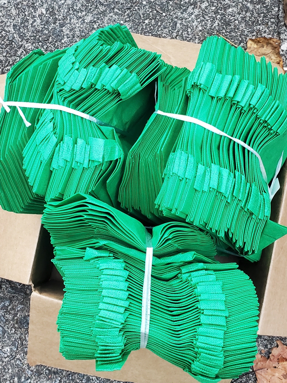 Green Reusable Party Favor Bags - Pack of Bulk Gift Bags